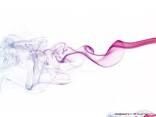 The Scent