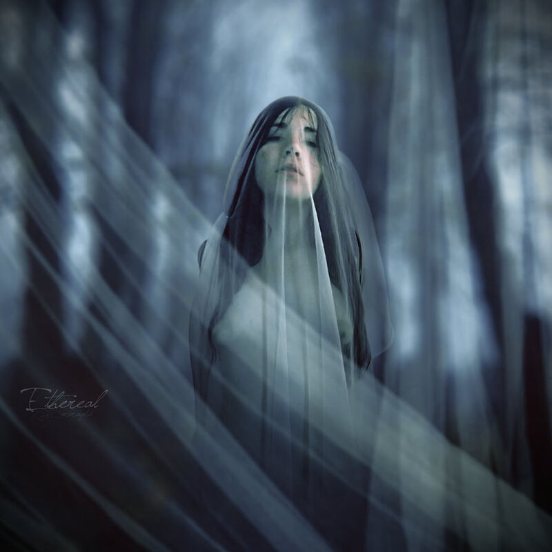 The Raging Silence