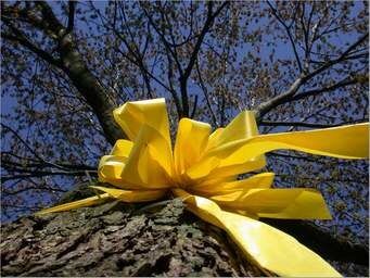 yellow ribbons
