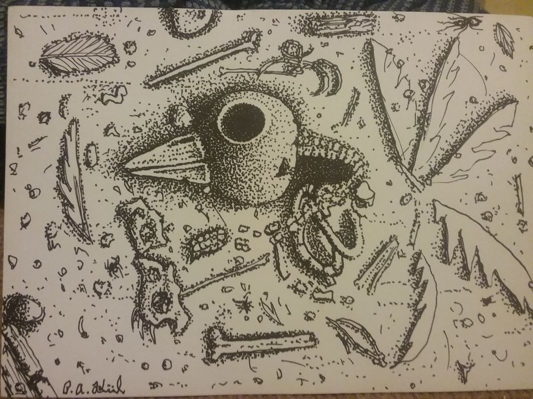 Fossil 