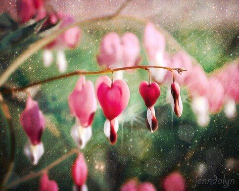 Valentine