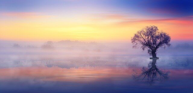 Carpe Diem 