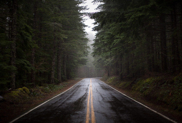 Life&#039;s journey {QUOTE}