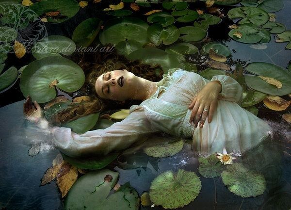 Ophelia Misunderstood