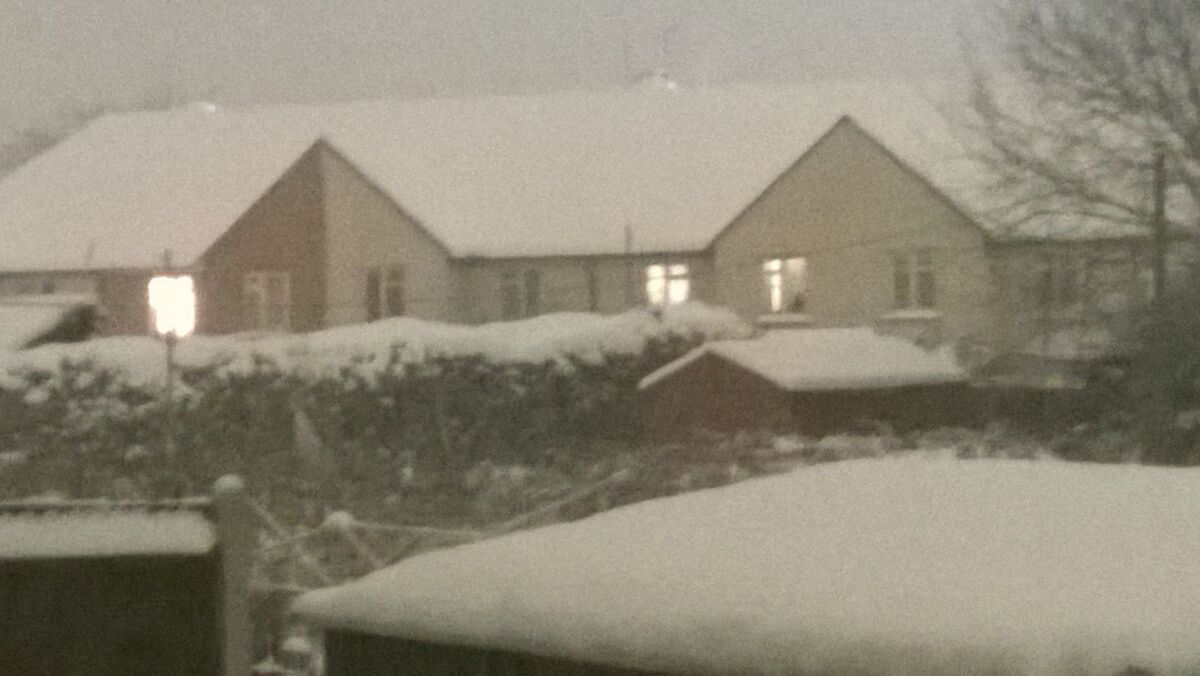 Snow Busy
