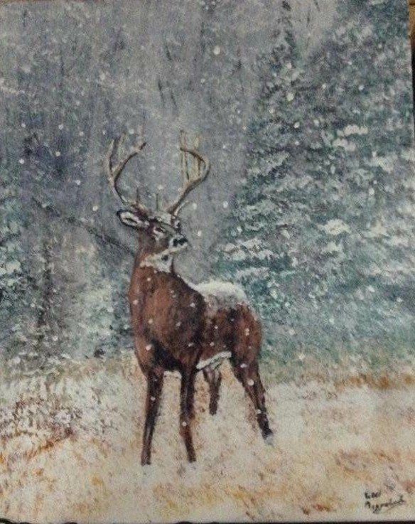 Snowy Buck