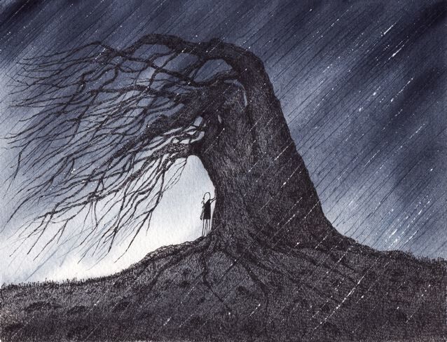 "The Storm Shelter"