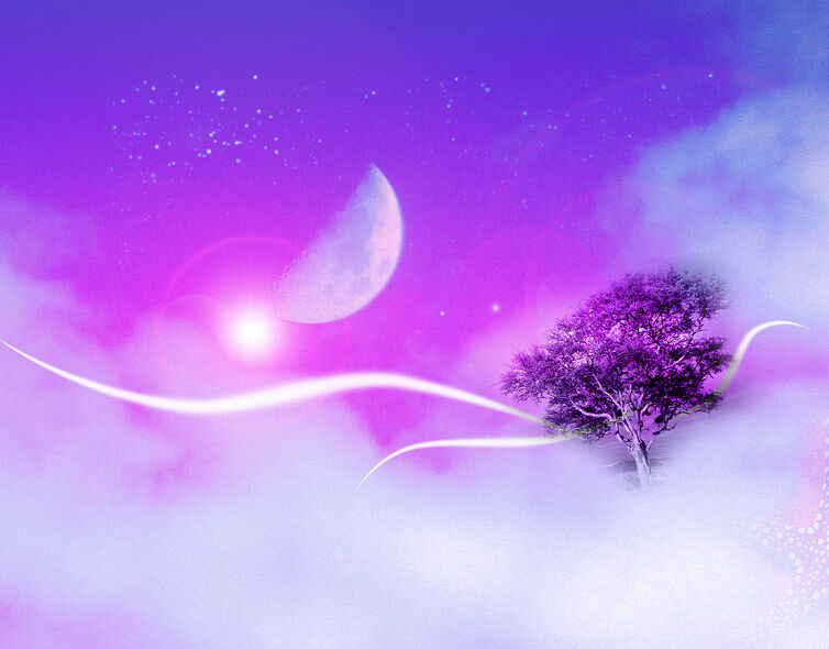 Dreams