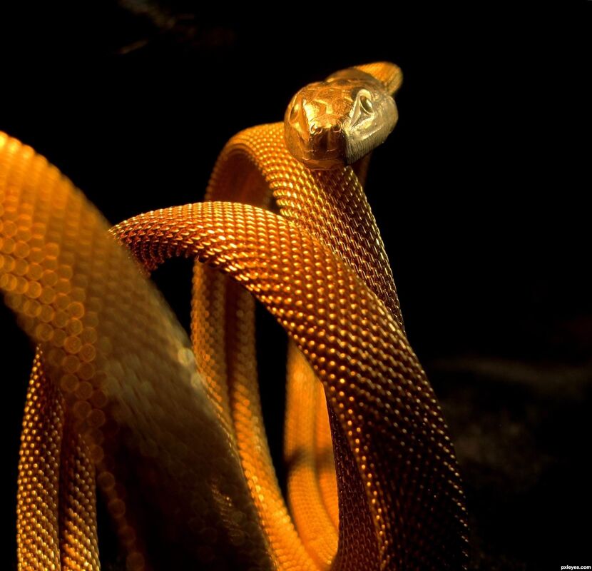 Serpents Kiss