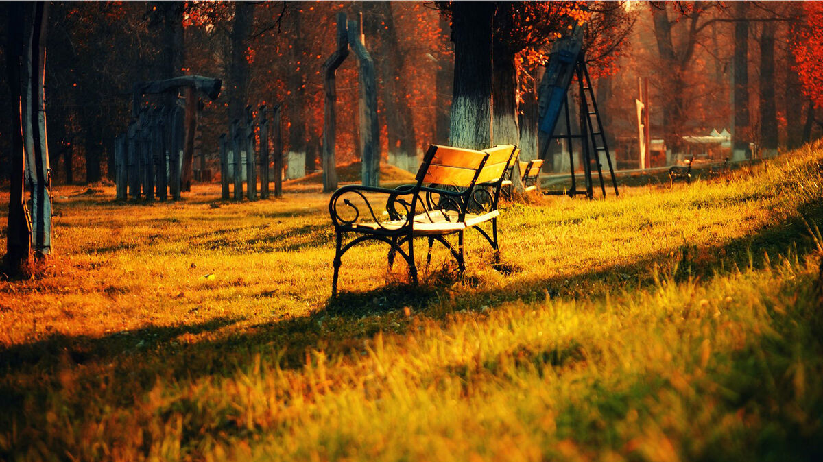 The Park Bench