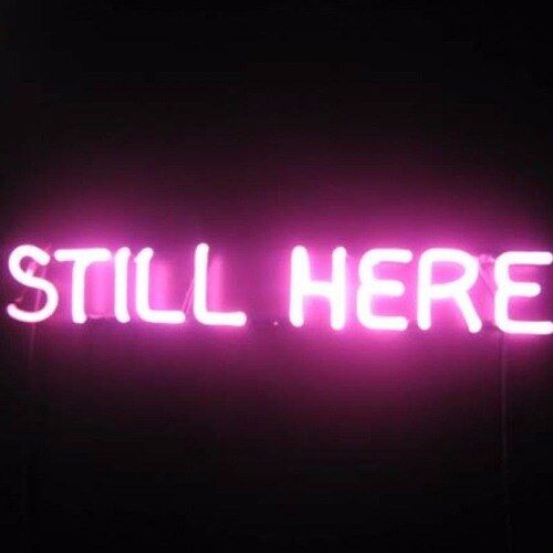 Still Here!