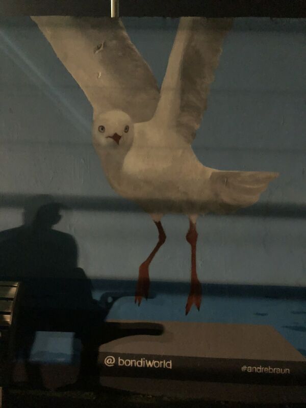 Seagull