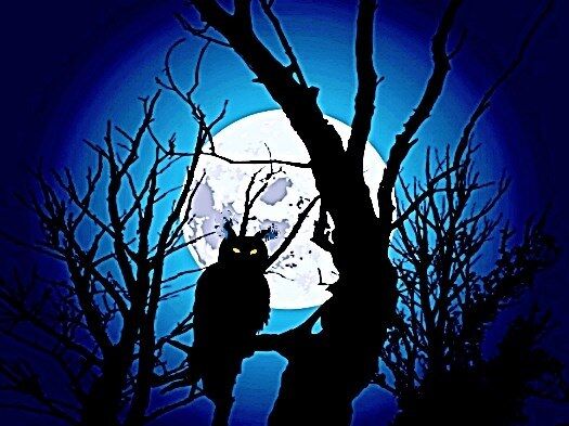 Moon's Owl (an Ekphrastic Nonet)
