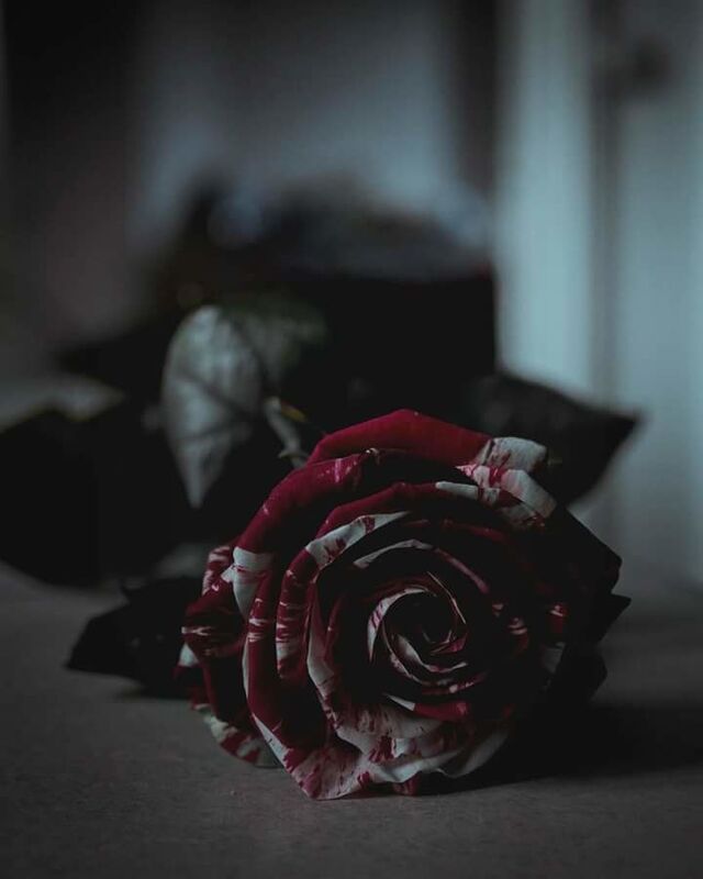 beneath these ribs