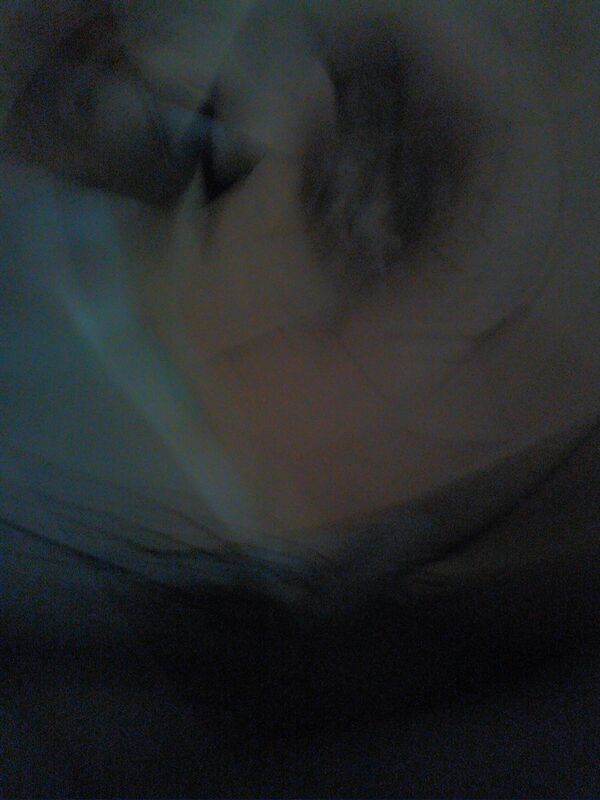 Don&#039;t Cry Me Free