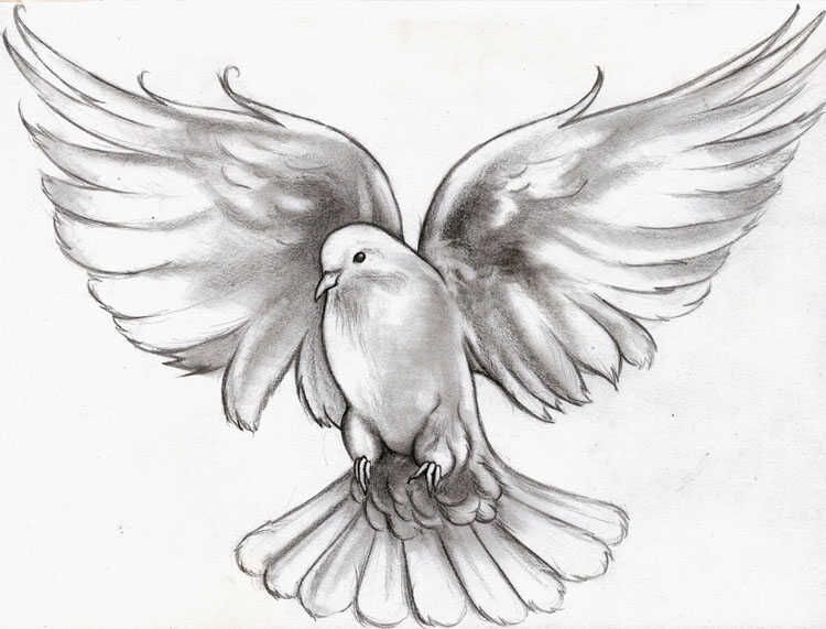 white winged dove tattoo