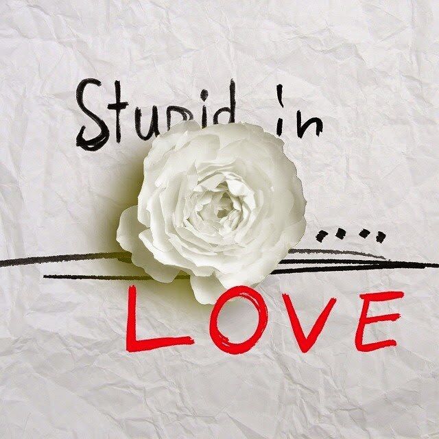 Stupid in Love