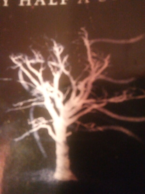 BEWITCHED