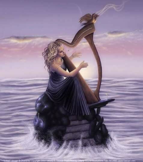 when are your love love me ? / aiad al khayat