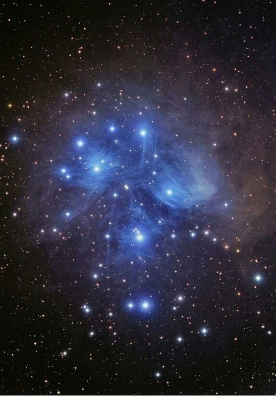 Pleiades dreaming