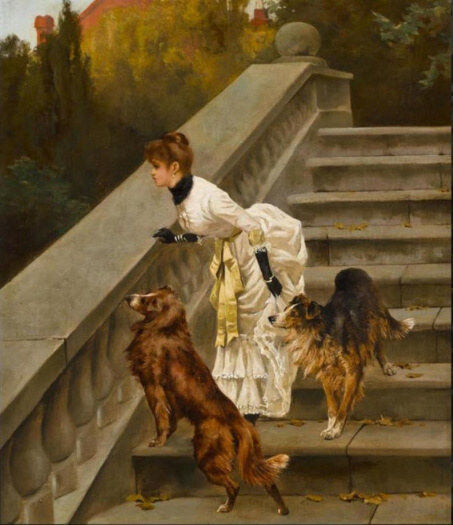 The bark of dog