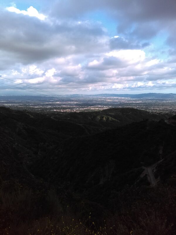 To far gone