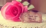 IF MEMORIES COULD BRING YOU BACK
