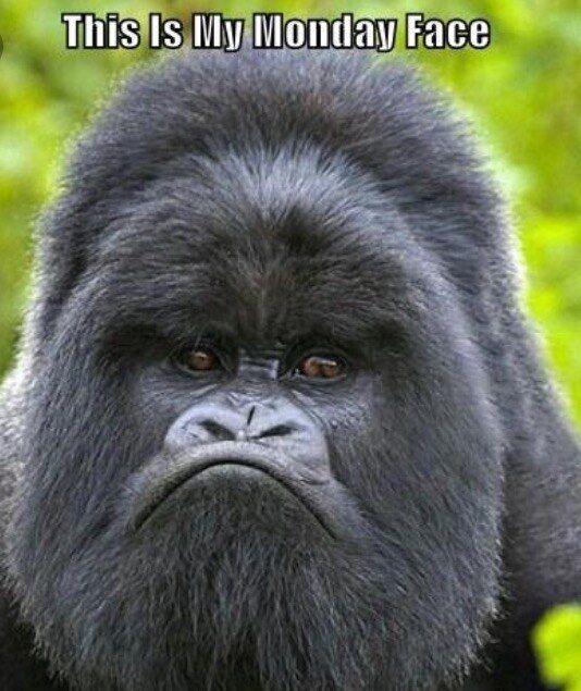 Monday's Creeping Up