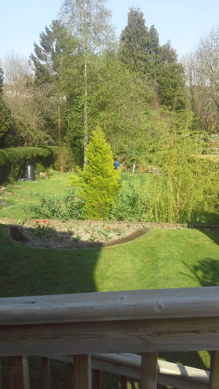 Birdsong Sanctuary