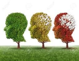 Brain formatting