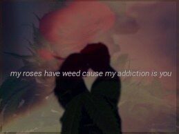 my roses have weed cause my addiction is you