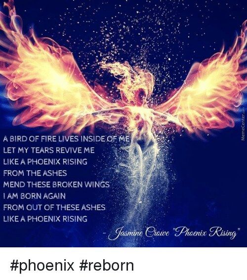 Like A Phoenix Reborn