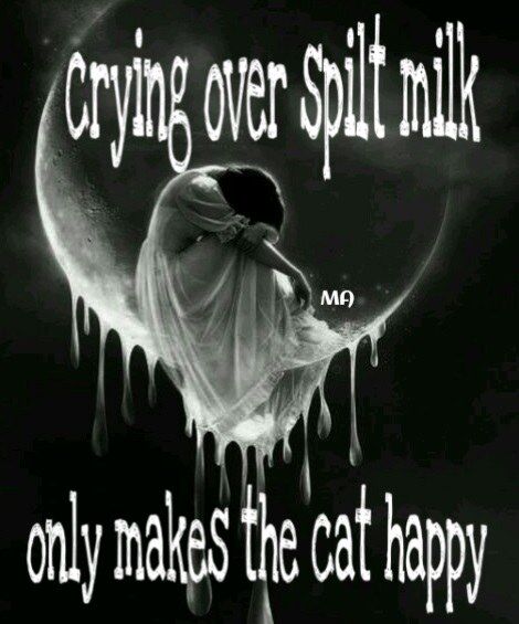 cat lick