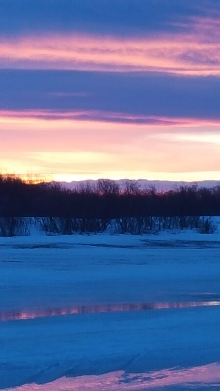 The Horizon Light