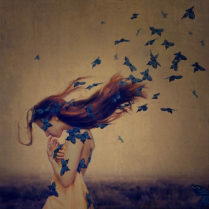 Silken Wings: A Shakespearean Sonnet