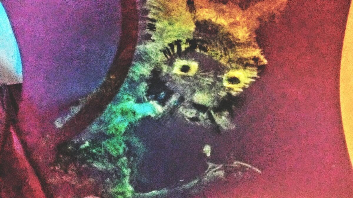 Bad cat