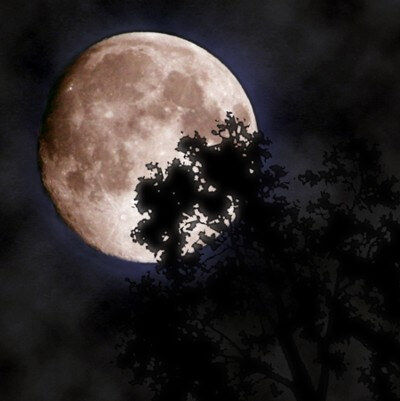 MR MOON