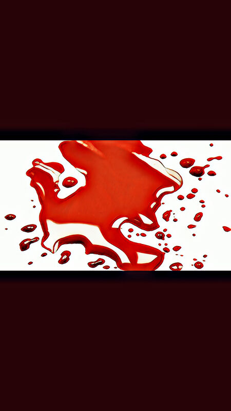 En mi sangre (Spanish)