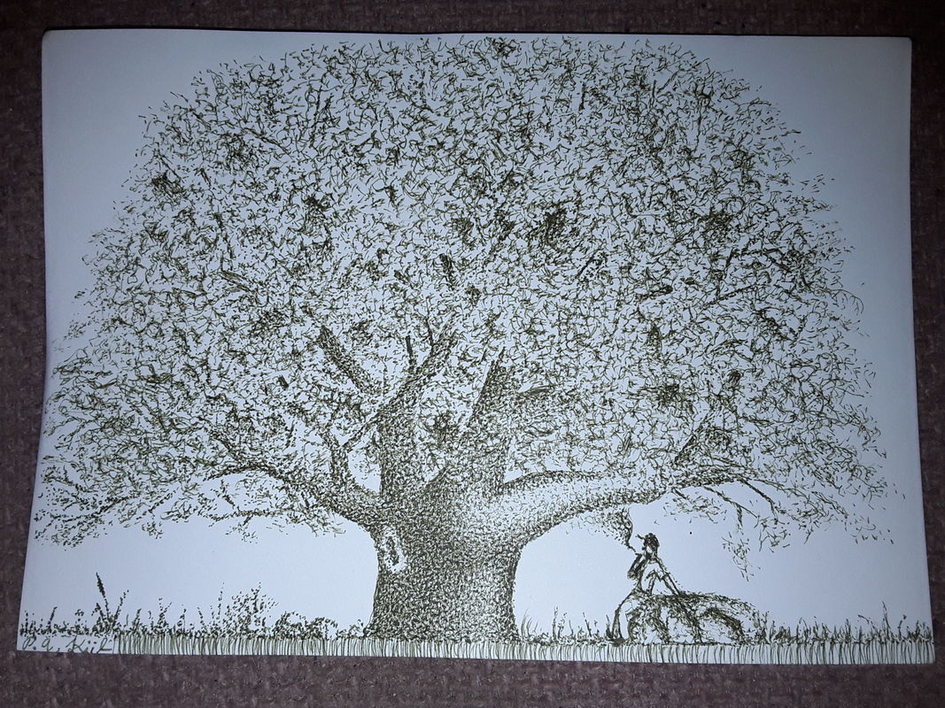 Smoke under tree 