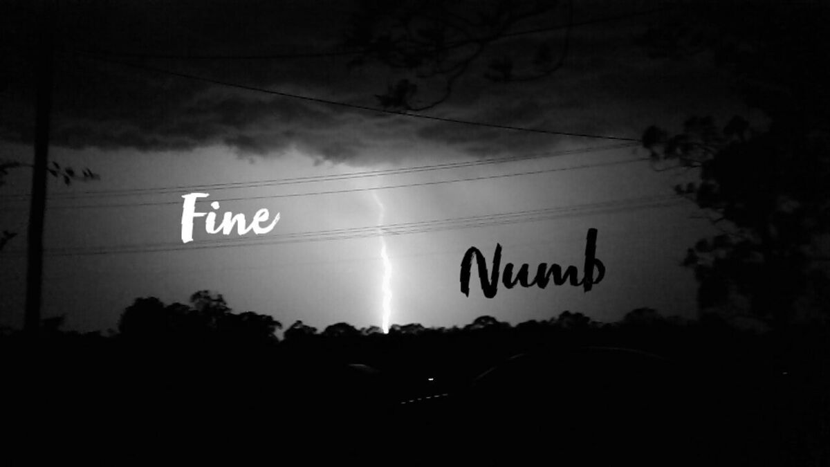 Fine? Or just numb