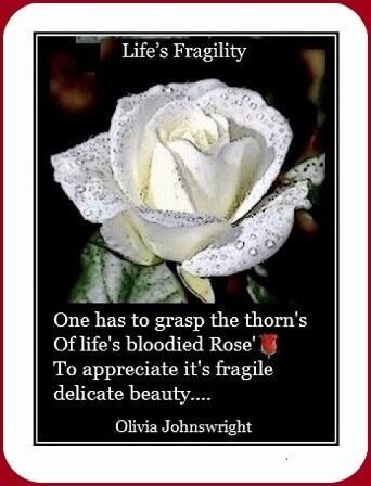 Life’s Fragility’