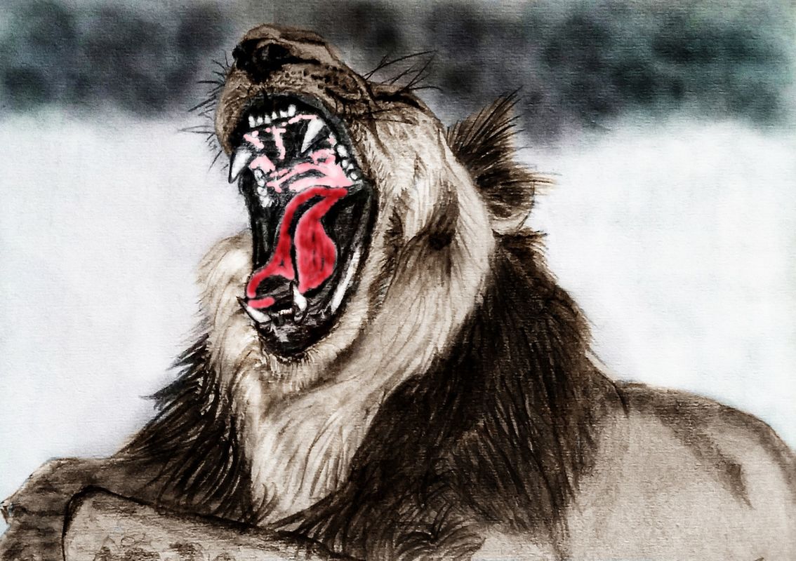 Lazy Lion