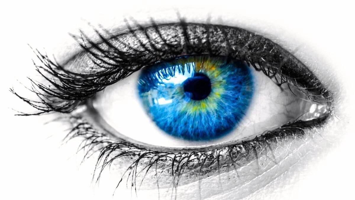 Seeing Clearly