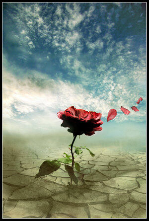 Mother's Day