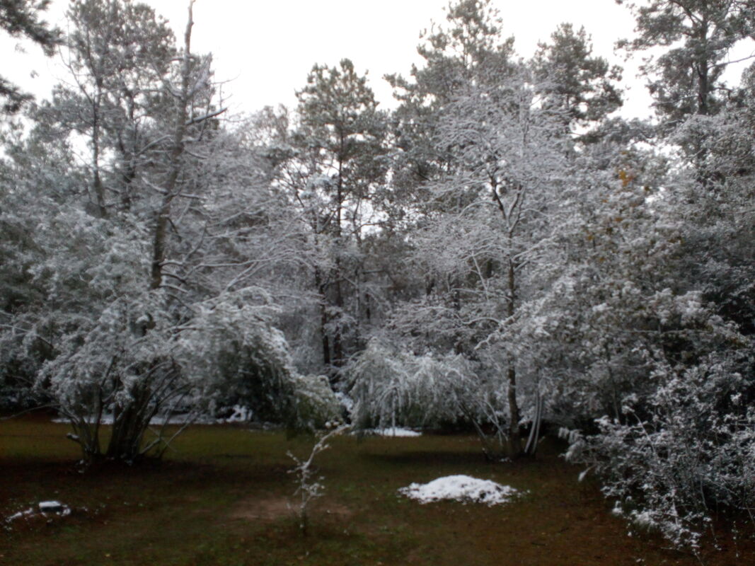 Frozen In Time