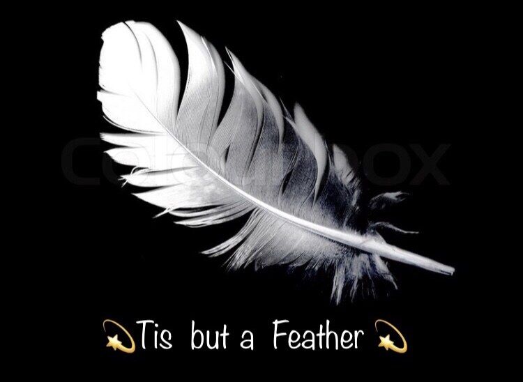 ‘Tis but a Feather’