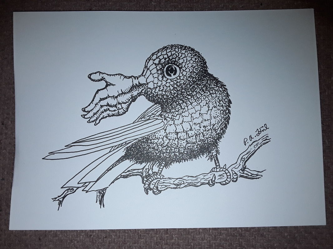 Handy Bird 