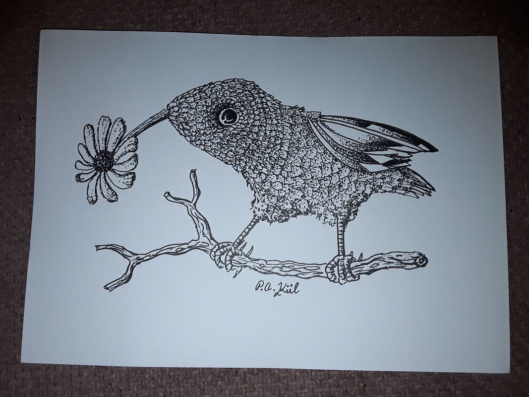 Daisy Bird 
