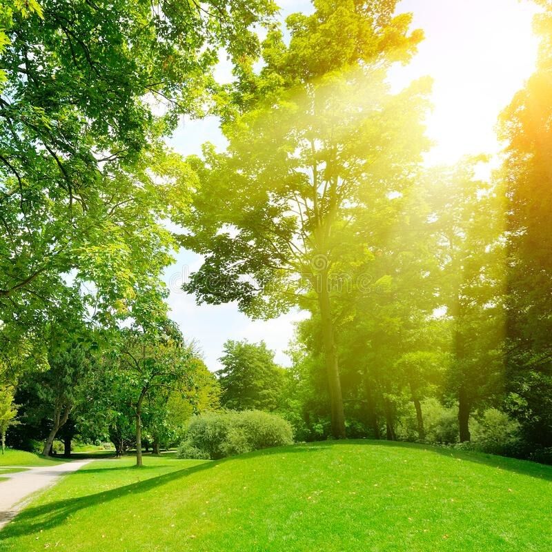 LOVELY DAY