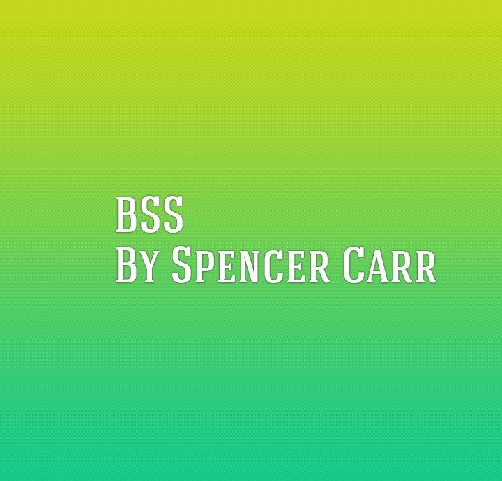 Broke school system/BSS